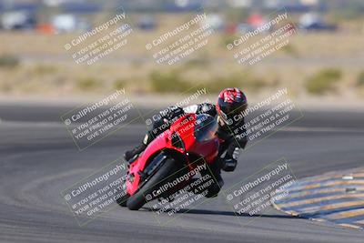 media/Nov-11-2023-SoCal Trackdays (Sat) [[efd63766ff]]/Turn 11 (955am)/